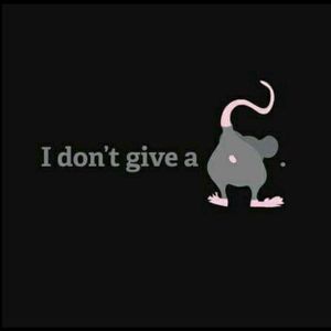 Meet your Posher, Aja